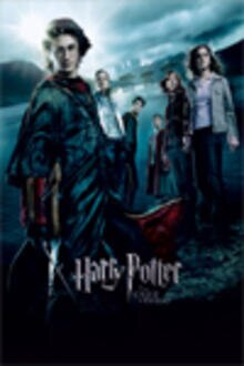 HARRY POTTER Y EL CALIZ DE FUEGO El poster de la !película